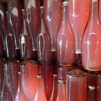 Rose sparkling wine fermenting