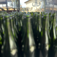 sparkling wine bottles