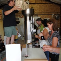 Wine assembly line.8