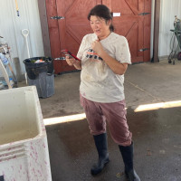 Margaret during harvest