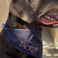Tackitt Doggy Wear