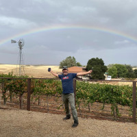Rainbow leads to the gold (wine that is)