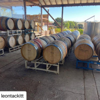 27 tons of grapes processed, over 4,000 gals of new wine in the barrel