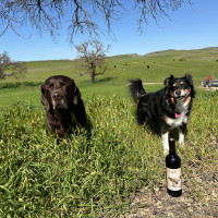 Lincoln & Kodi with wine bottle