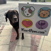 Lincoln with W4P sign