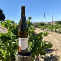 2021 Gewurztraminer