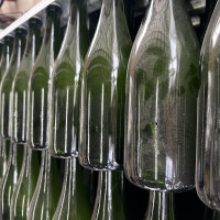 Wine Bottles
