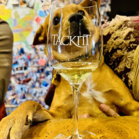 Dog image behind glass