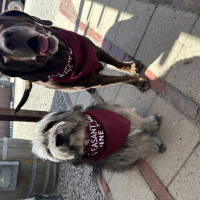 Luna & Lincoln