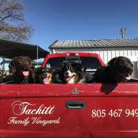 Winery Dogs in TFV Truck